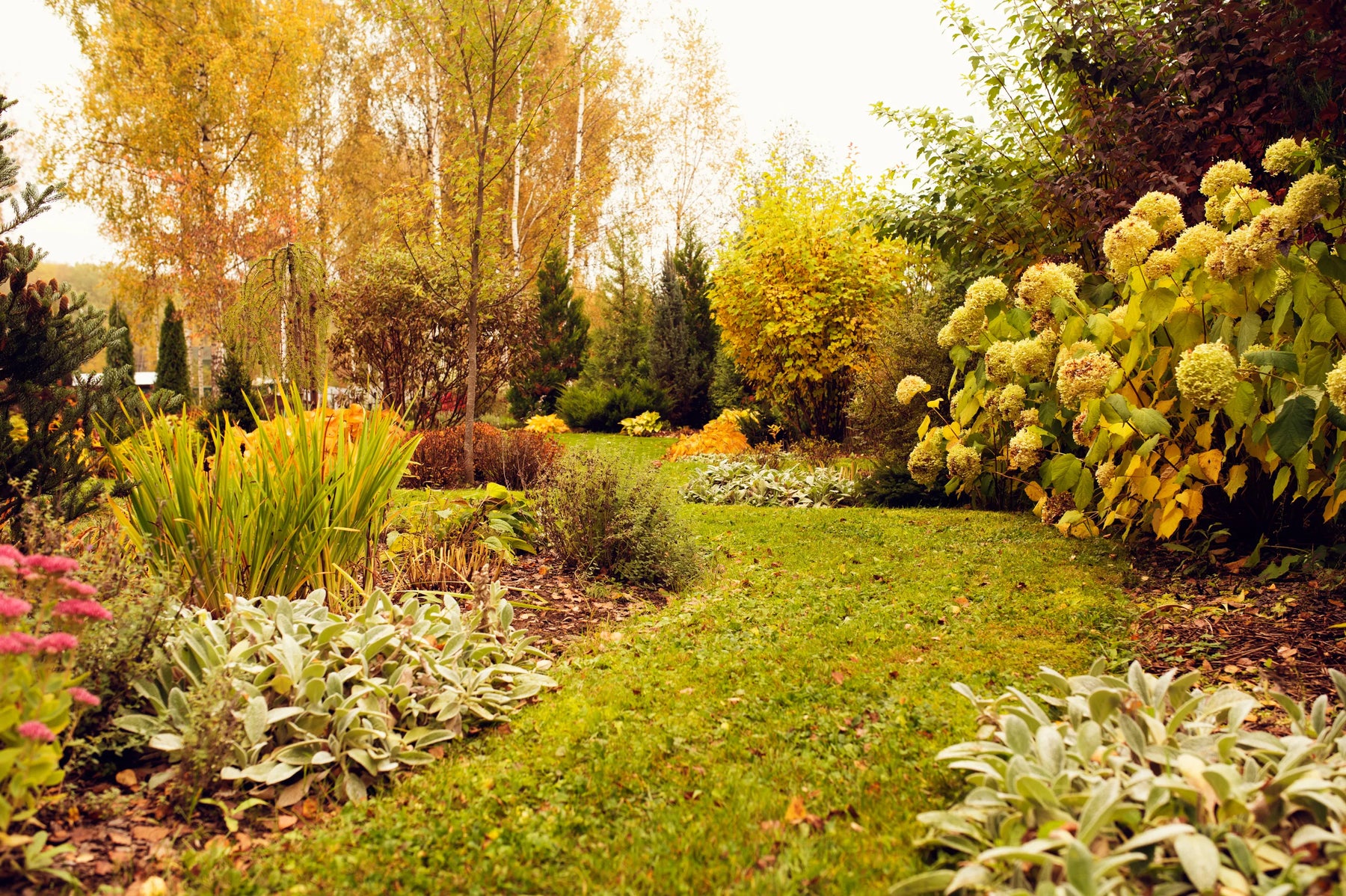 Autumn Colour