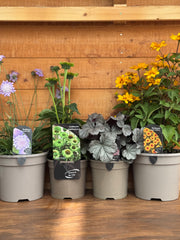 The Flowering Bundle