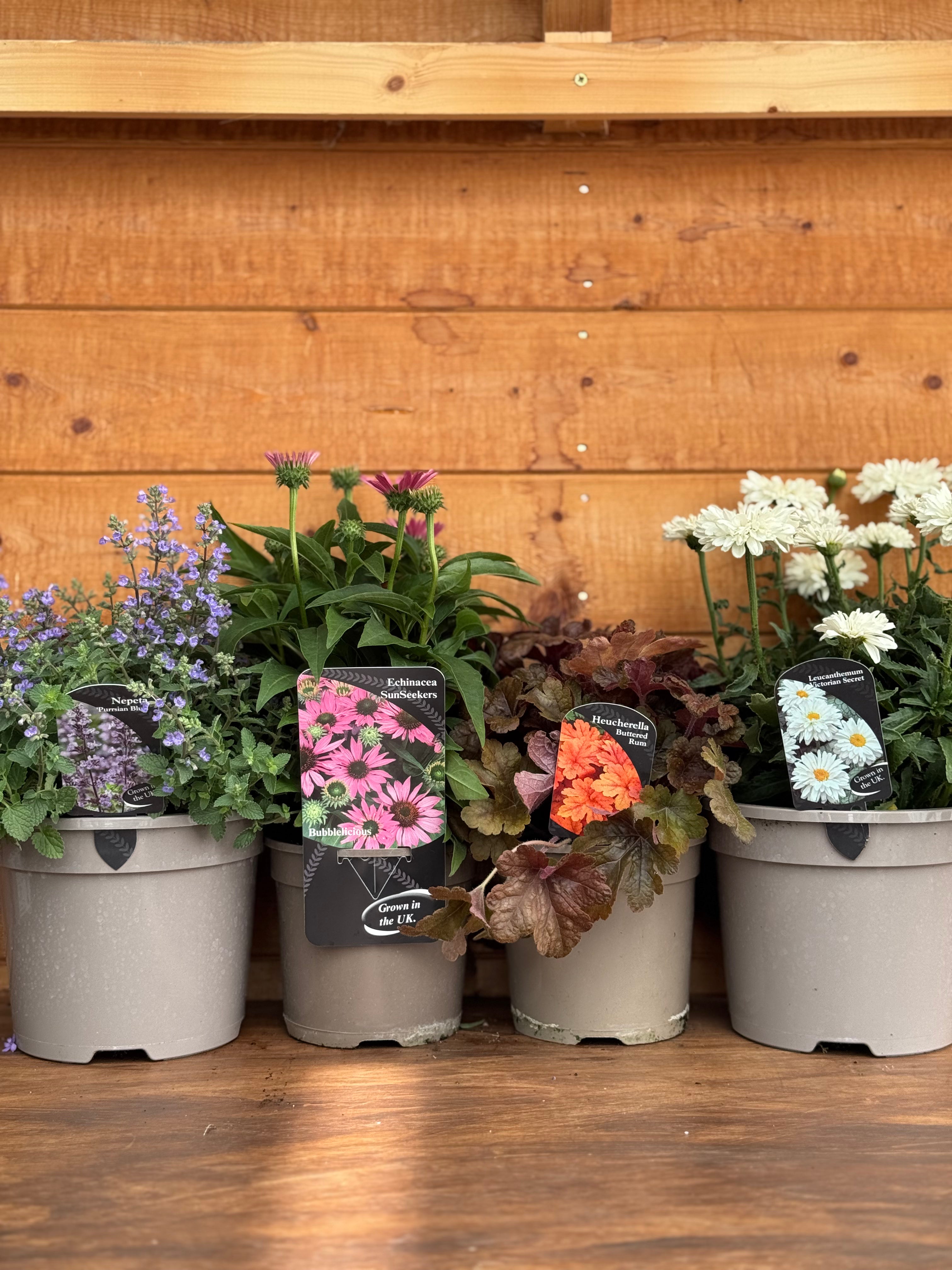 The Flowering Bundle