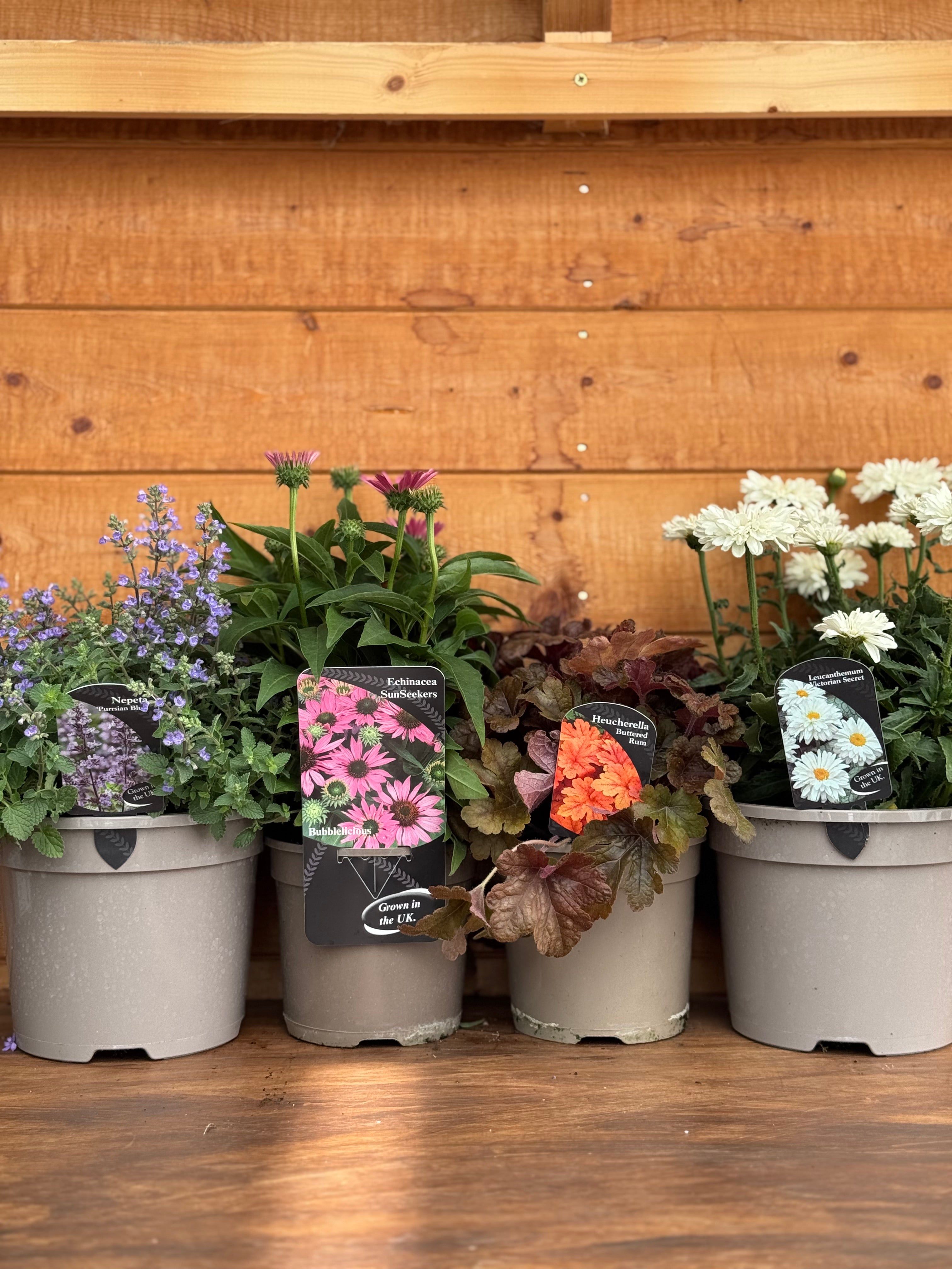 The Flowering Bundle