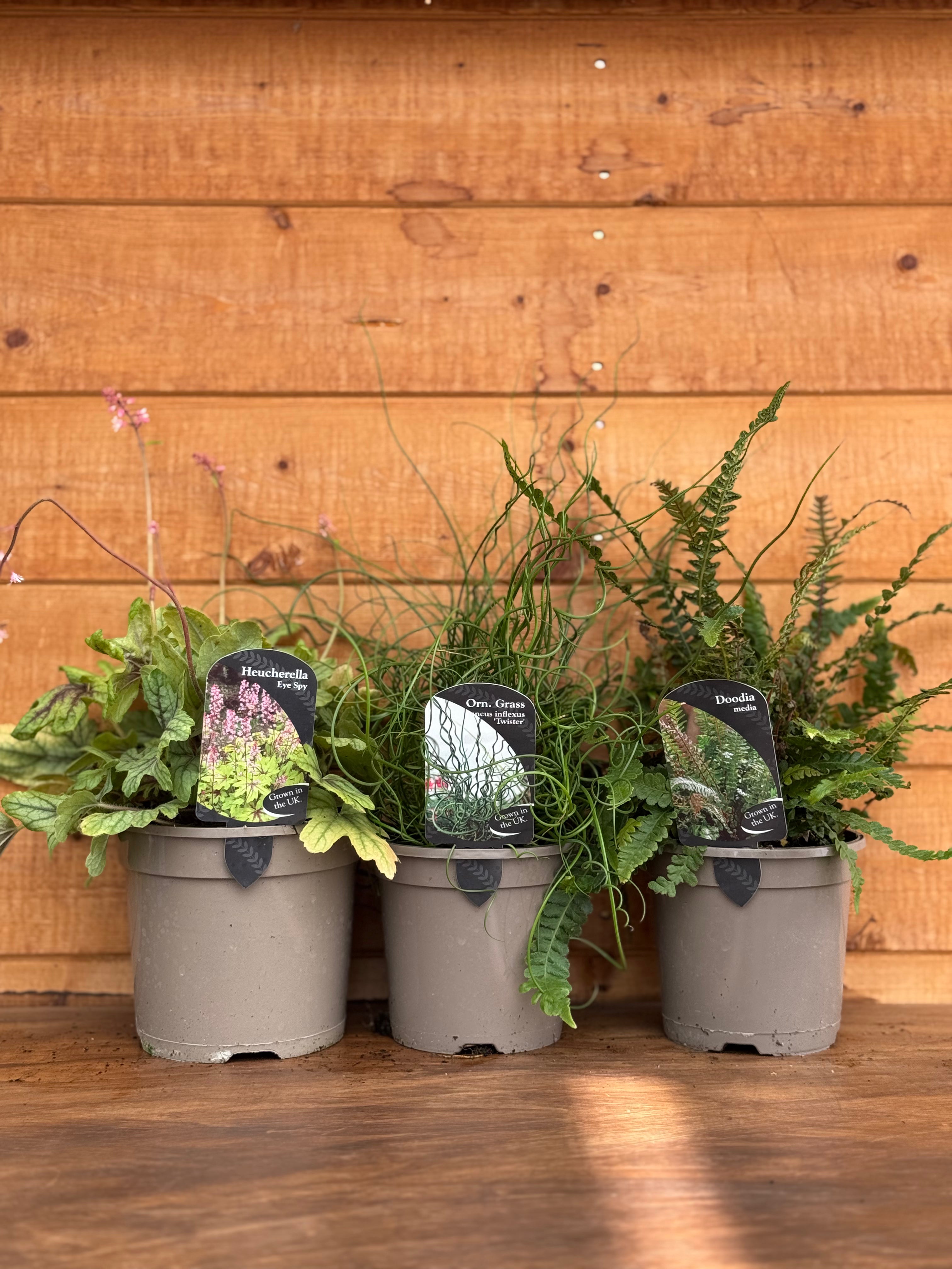 The Texture & Foliage Bundle